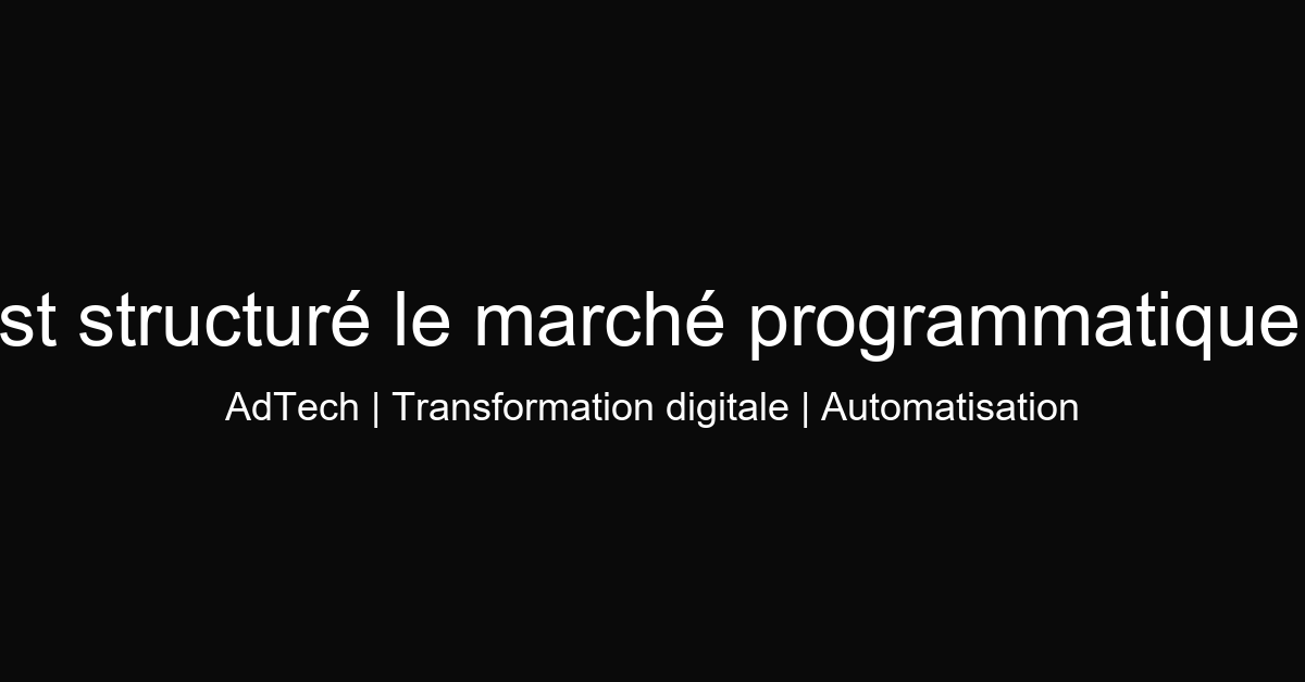Comment est structuré le marché programmatique en france ?